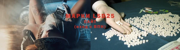 винт Алзамай