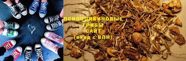 молекула духа Алексин