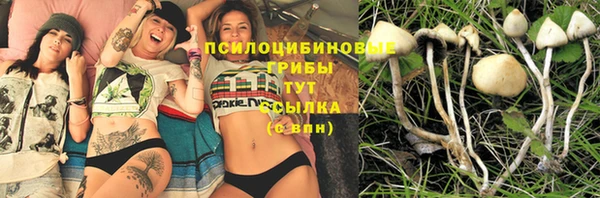 mix Алексеевка